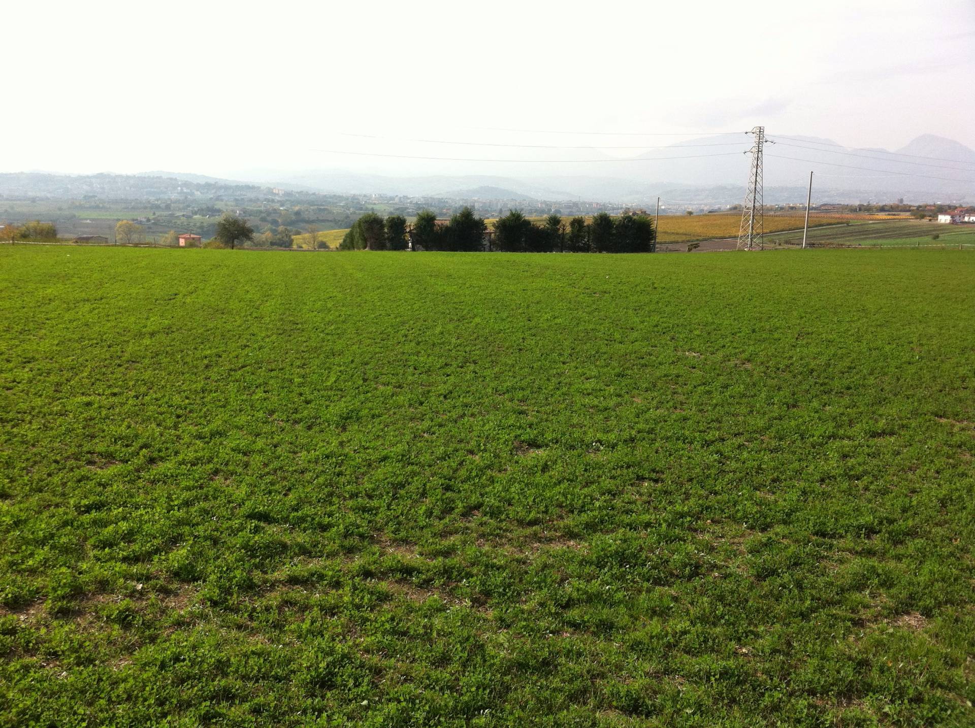 Terreno agricolo di 10000 mq a Benevento