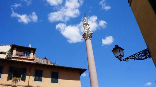 Attività commerciale a Lucca