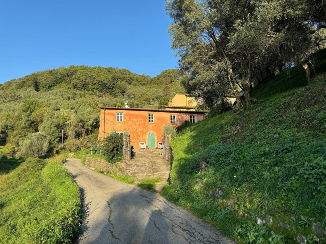 Rustico in vendita a Torre, Lucca (LU)