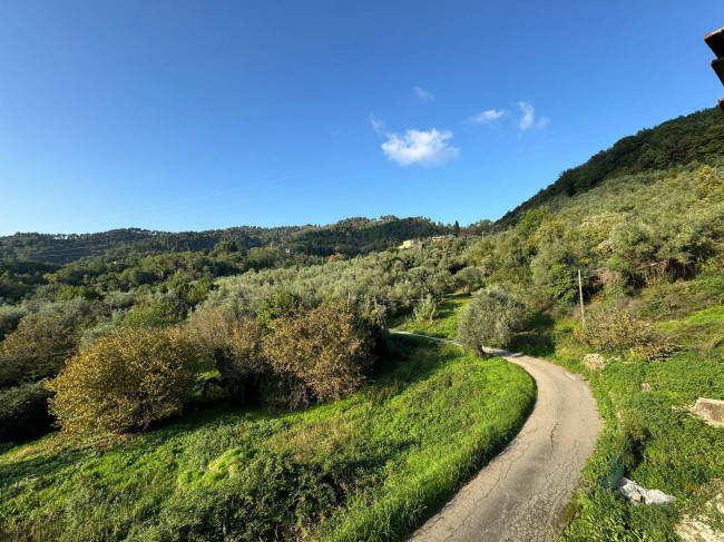 Rustico in vendita a Torre, Lucca (LU)