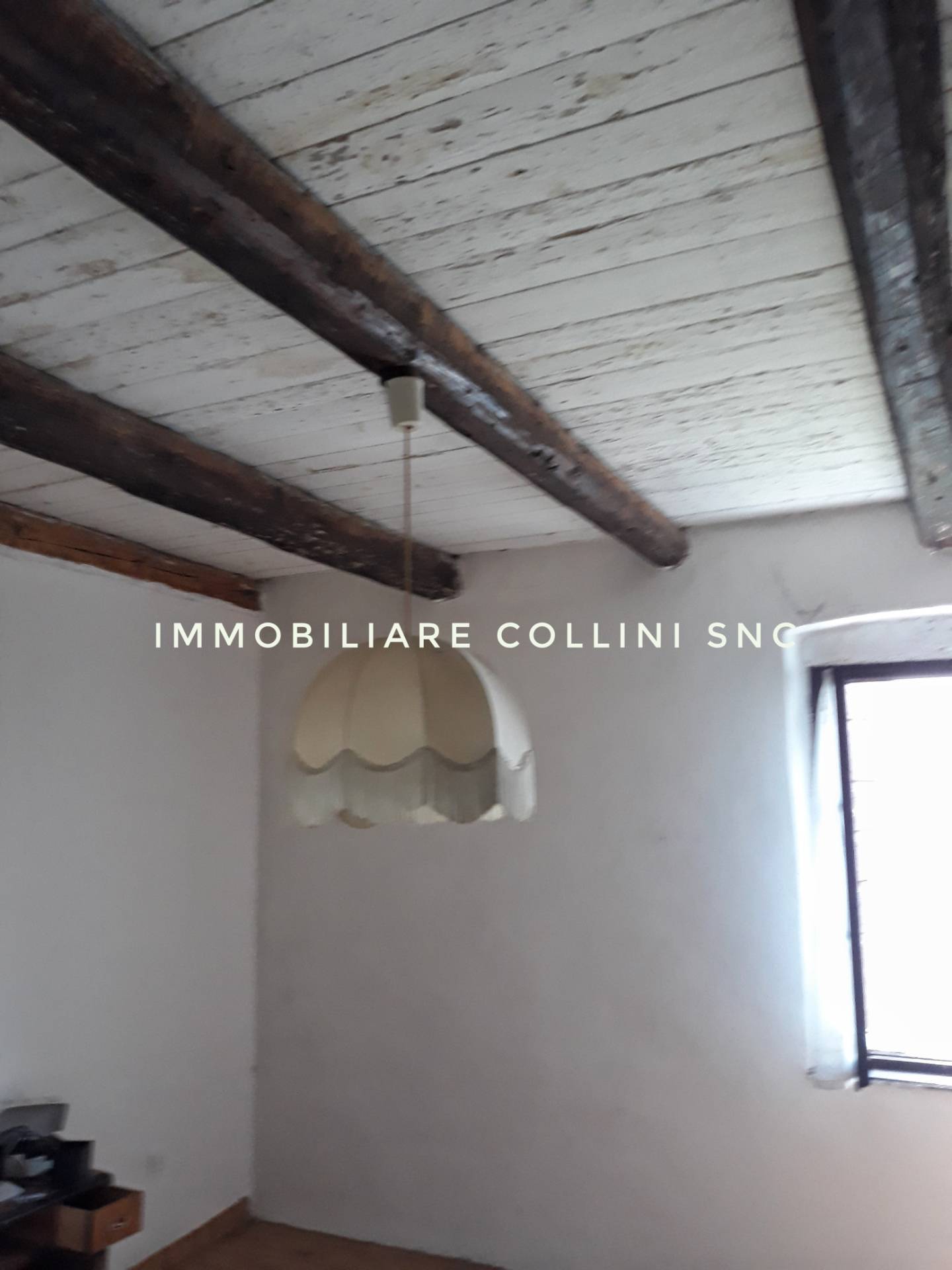 Rustico - Cascina CAMPOFORMIDO vendita  BASALDELLA  Immobiliare Collini