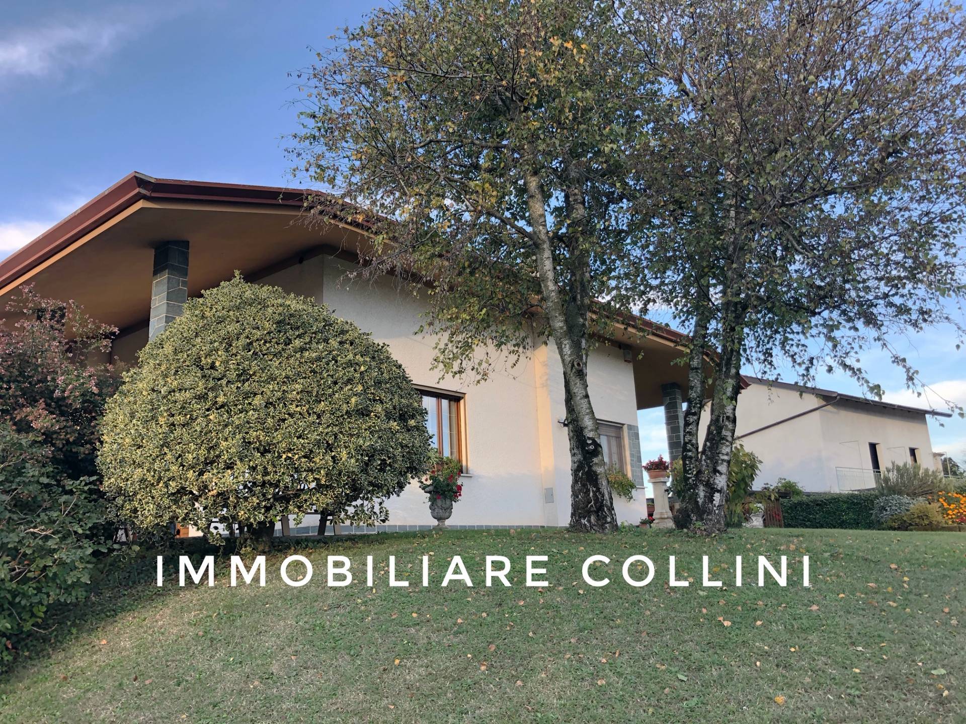 Villa DIGNANO vendita    Immobiliare Collini