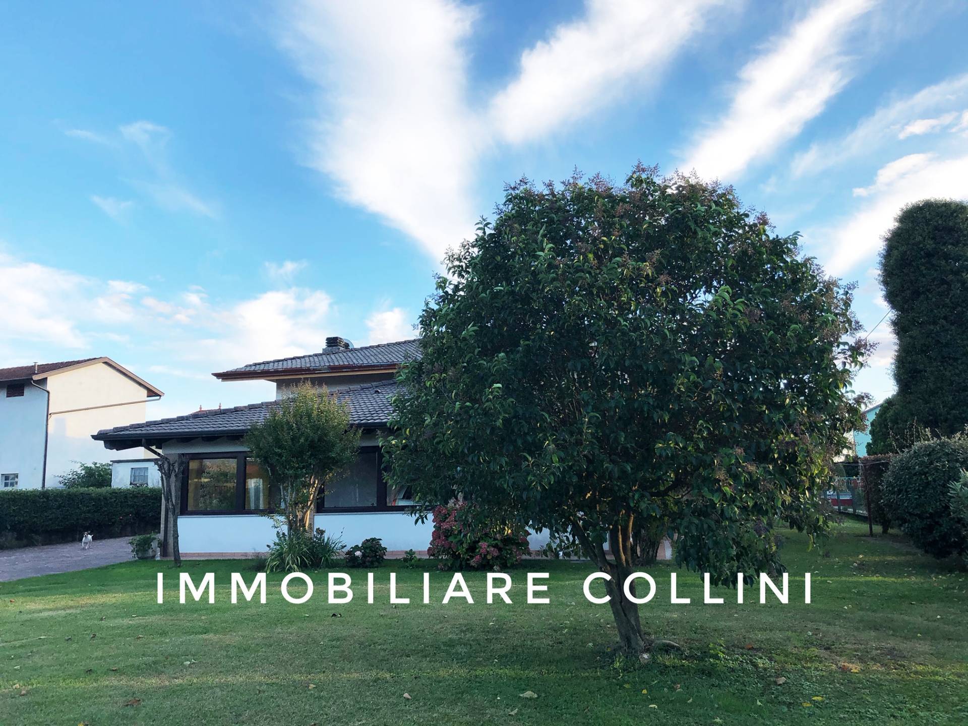  dignano vendita quart:  immobiliare collini