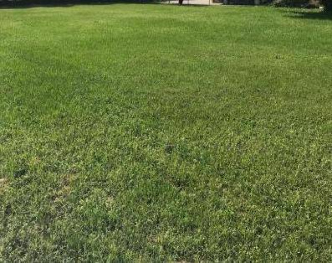 Terreno edificabile in Vendita a Quinto di Treviso