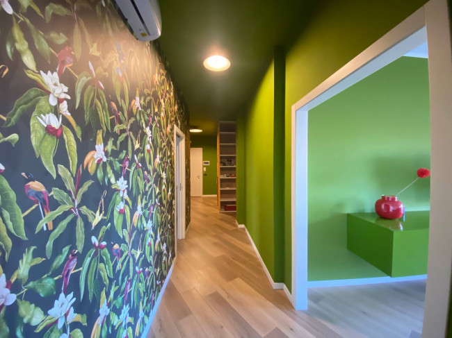 Appartamento in Affitto a Treviso