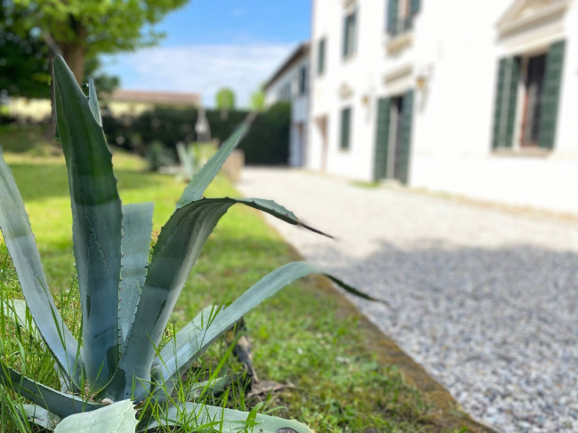 Villa in Vendita a Villorba