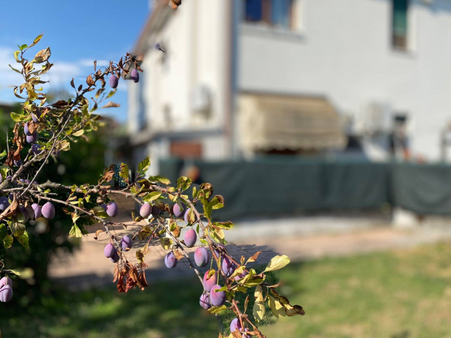 Villetta bifamiliare in Vendita a Treviso