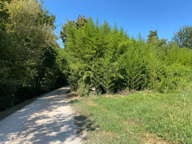 Terreno Agricolo in Vendita a Breda di Piave