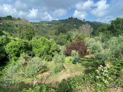 Rustico in vendita a Pieve A Elici, Massarosa (LU)