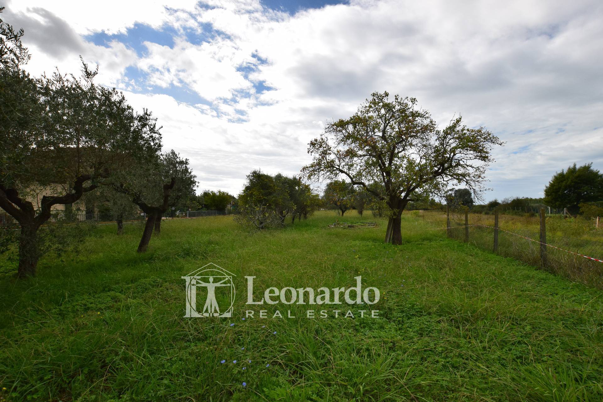 Villa Unifamiliare - Indipendente MASSAROSA vendita  Massarosa  Immobiliare Leonardo srl