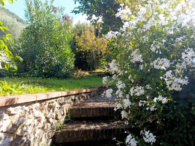 Casa indipendente in Vendita a Massarosa
