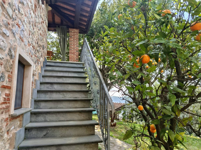 Indipendent house for Sale to Camaiore