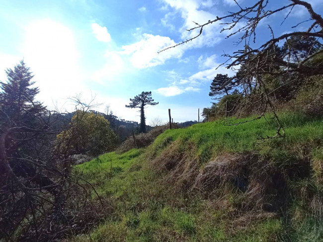 Indipendent house for Sale to Camaiore