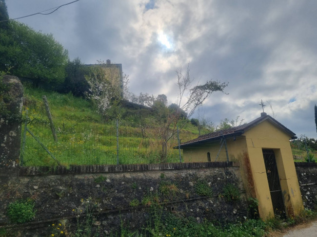 Indipendent house for Sale to Camaiore