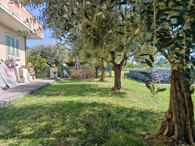 Appartamento in Vendita a Massarosa