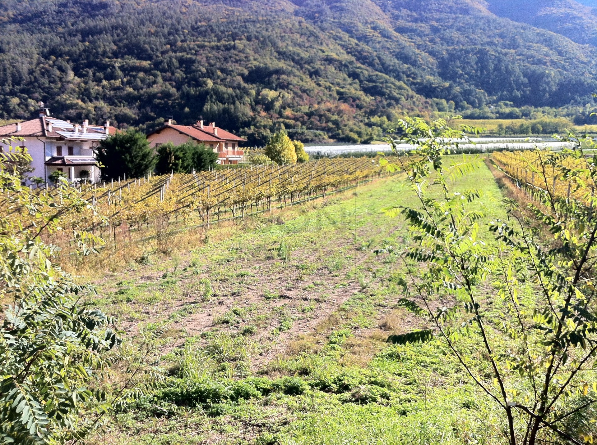 Foto terreno in vendita a Cavedine (Trento)