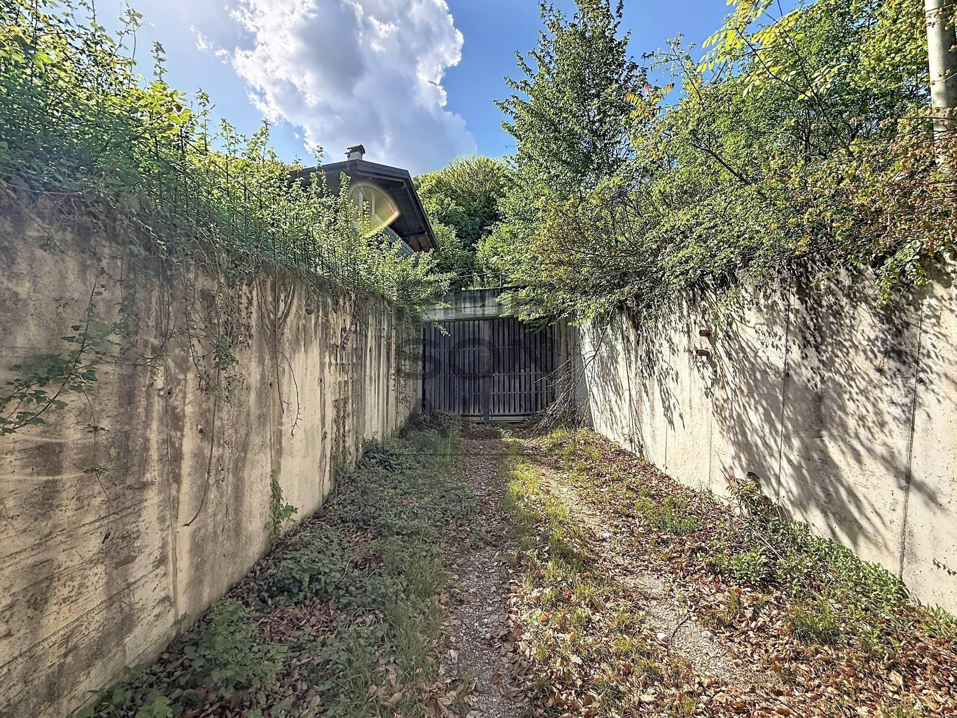 Foto attivitã commerciale in vendita a Trento (Trento)
