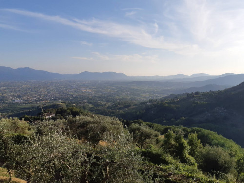 Terratetto a Capannori