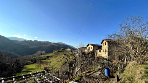 Terratetto a Molazzana