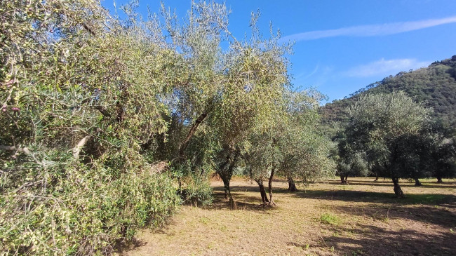 Villa in vendita a Sesto Di Moriano, Lucca (LU)