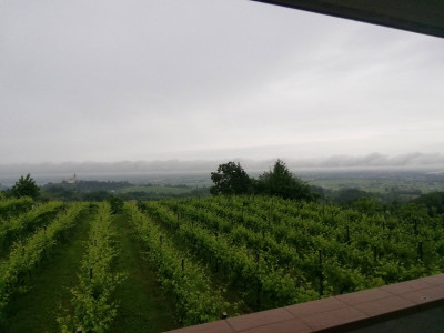 Appartamento in Affitto a Susegana