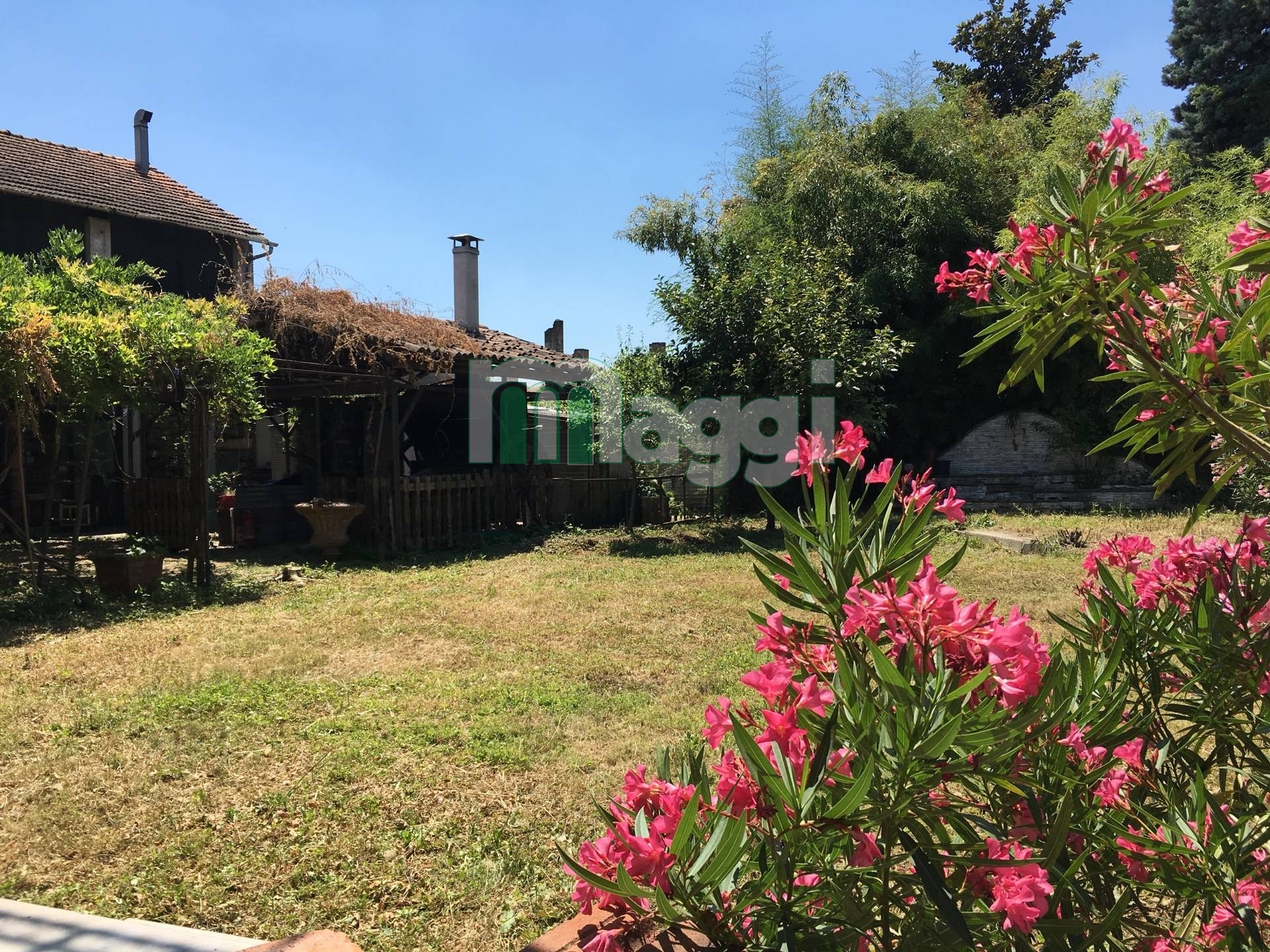 Negozio - Loc.Com. MILANO vendita  Ripamonti  Studio Maggi