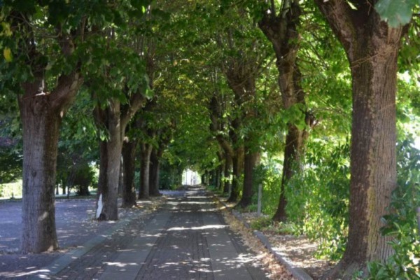 Appartamento CUNEO vendita    Cavallo Immobiliare di Mestriner Dr. Michele