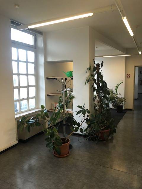 Appartamento CUNEO vendita  Centro città  Cavallo Immobiliare di Mestriner Dr. Michele