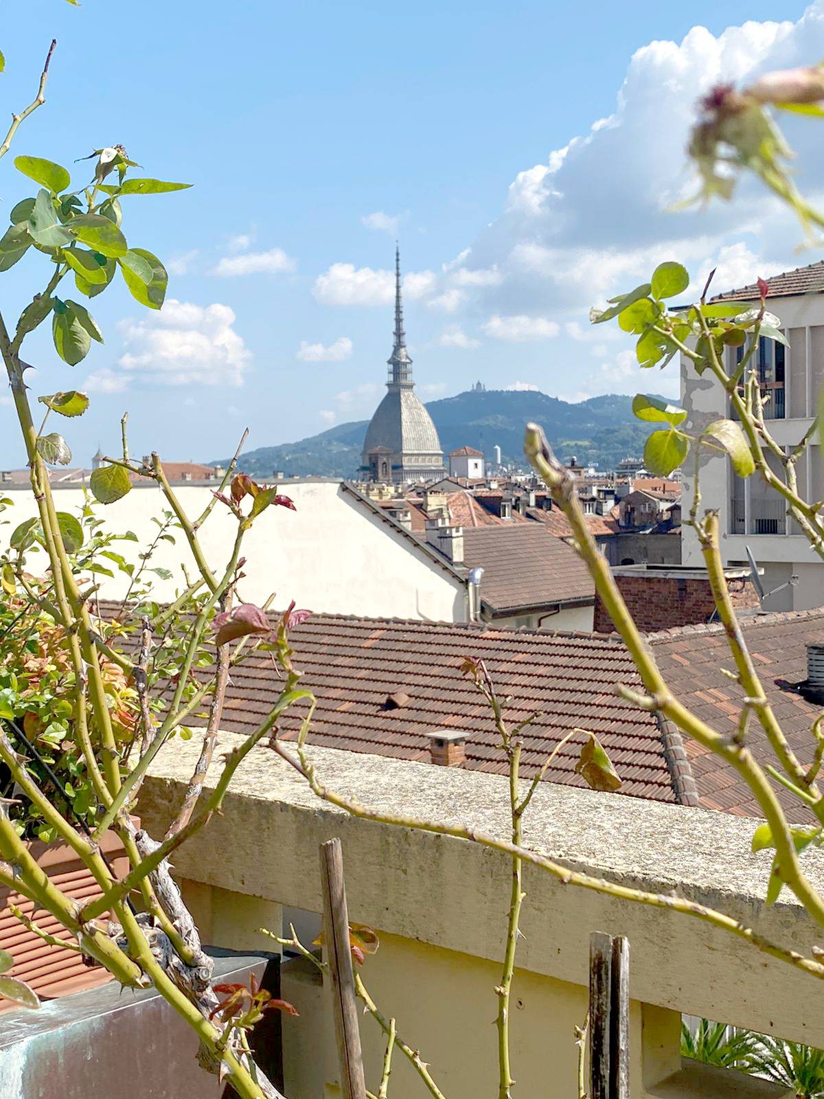 Attico TORINO affitto  Centro  Chiusano & C. Immobiliare