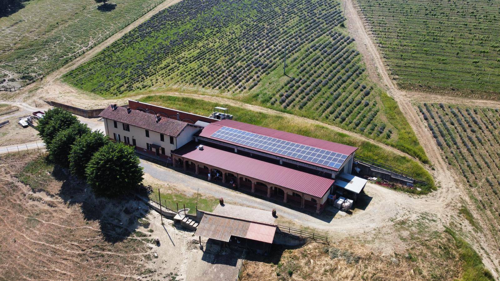 Azienda agricola in vendita