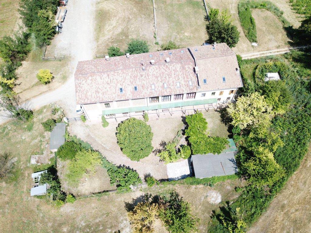 Azienda agricola in vendita