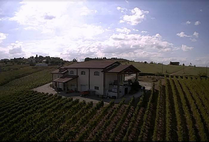 Azienda agricola in vendita