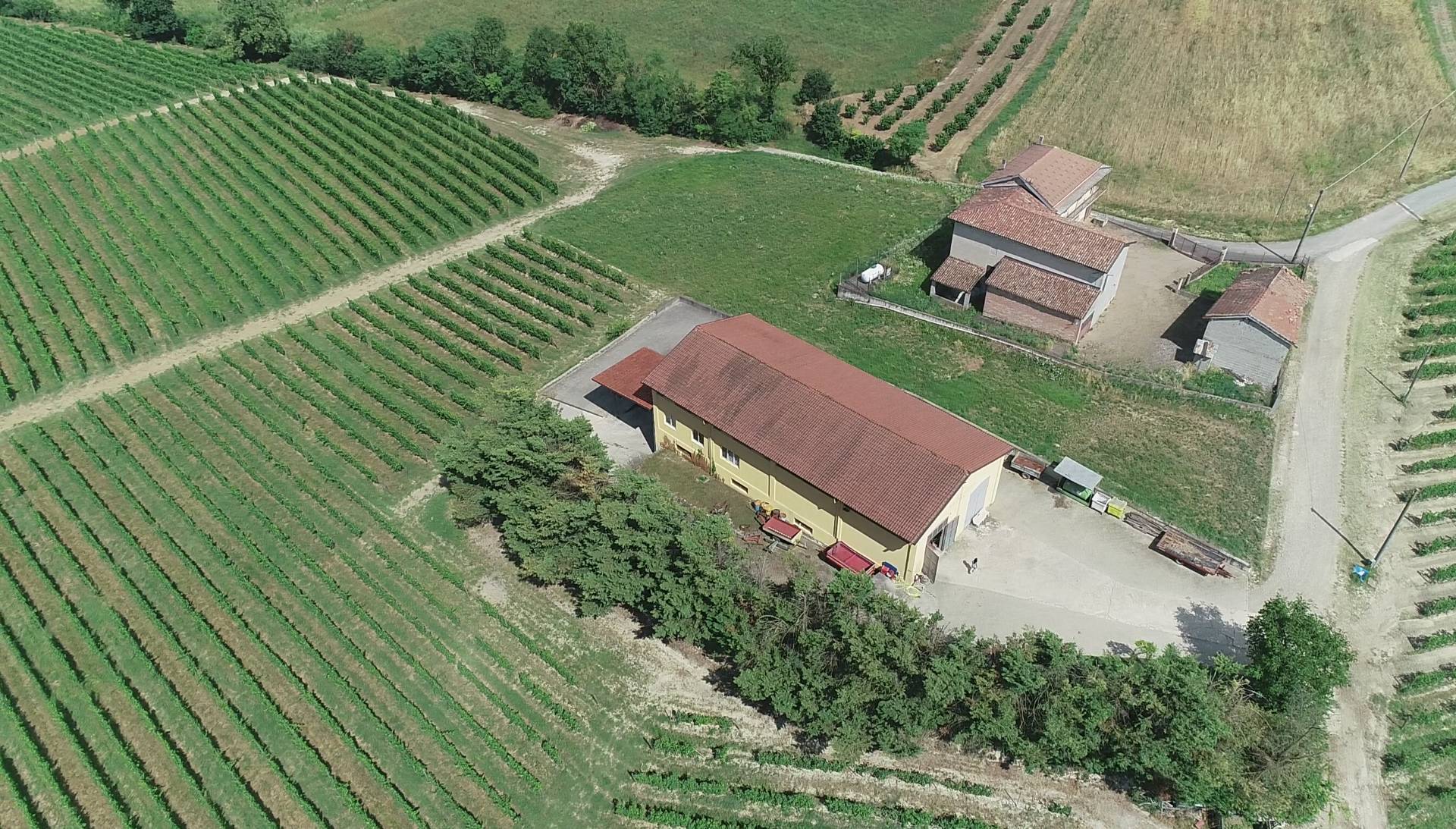 Azienda agricola in vendita