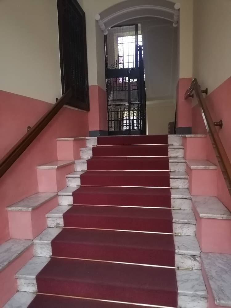 Stanza - Camera in Affitto a Torino