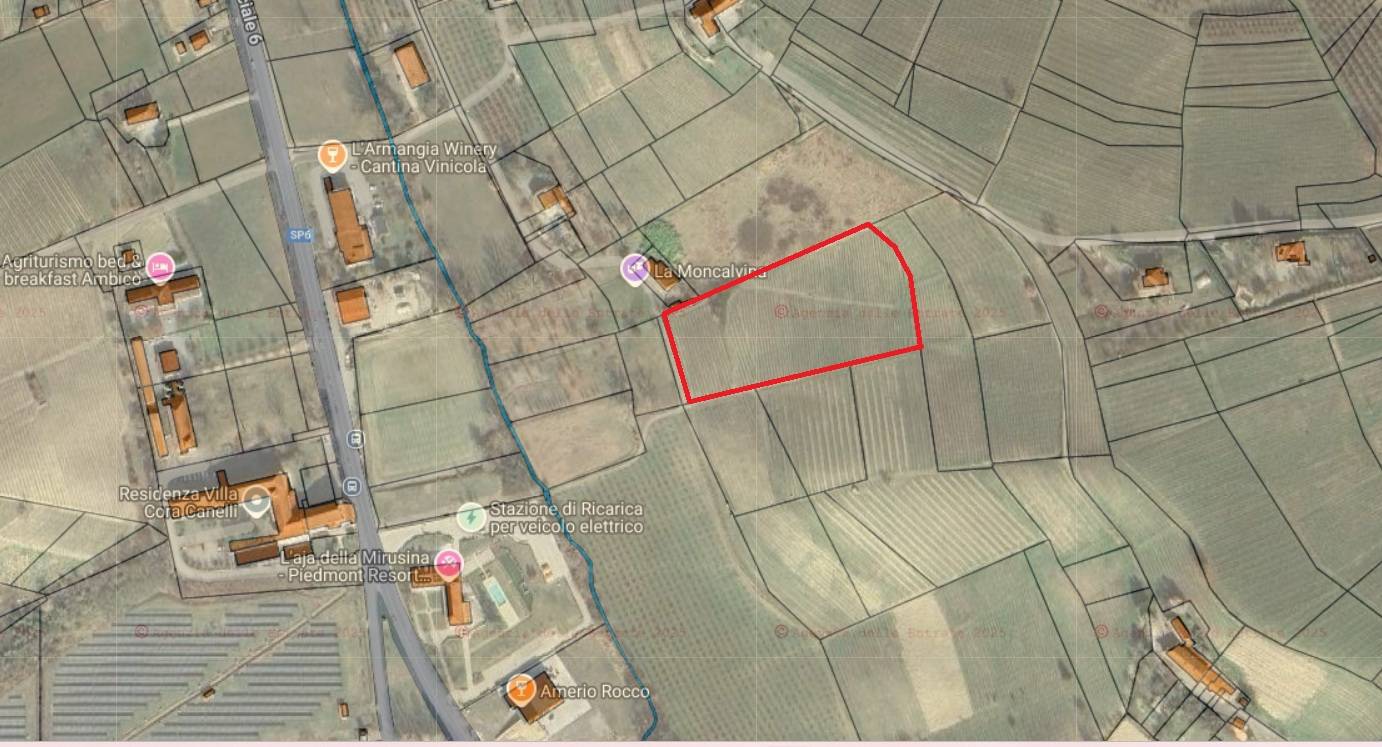 Terreno Agricolo in vendita