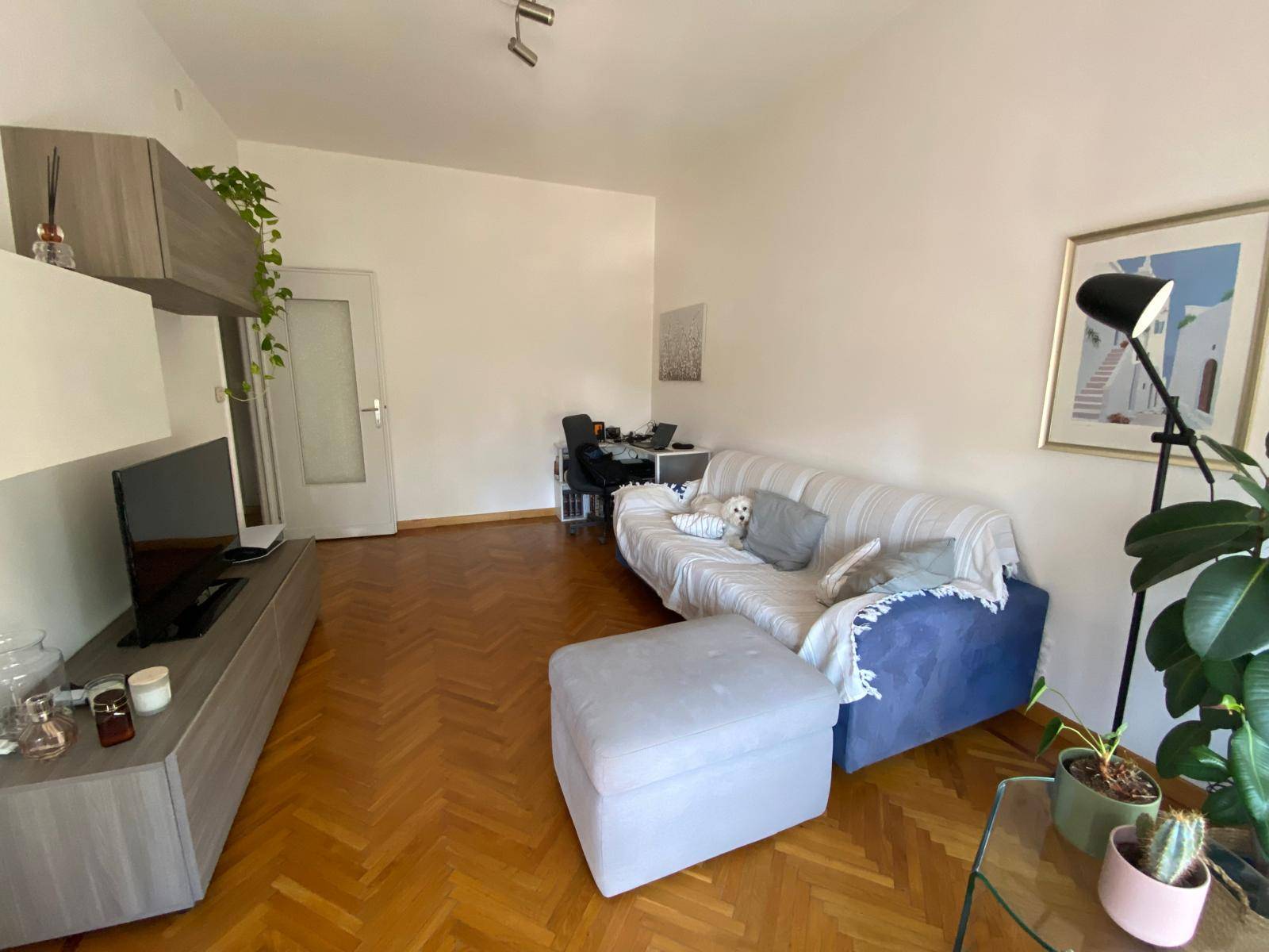 Appartamento in Affitto a Torino
