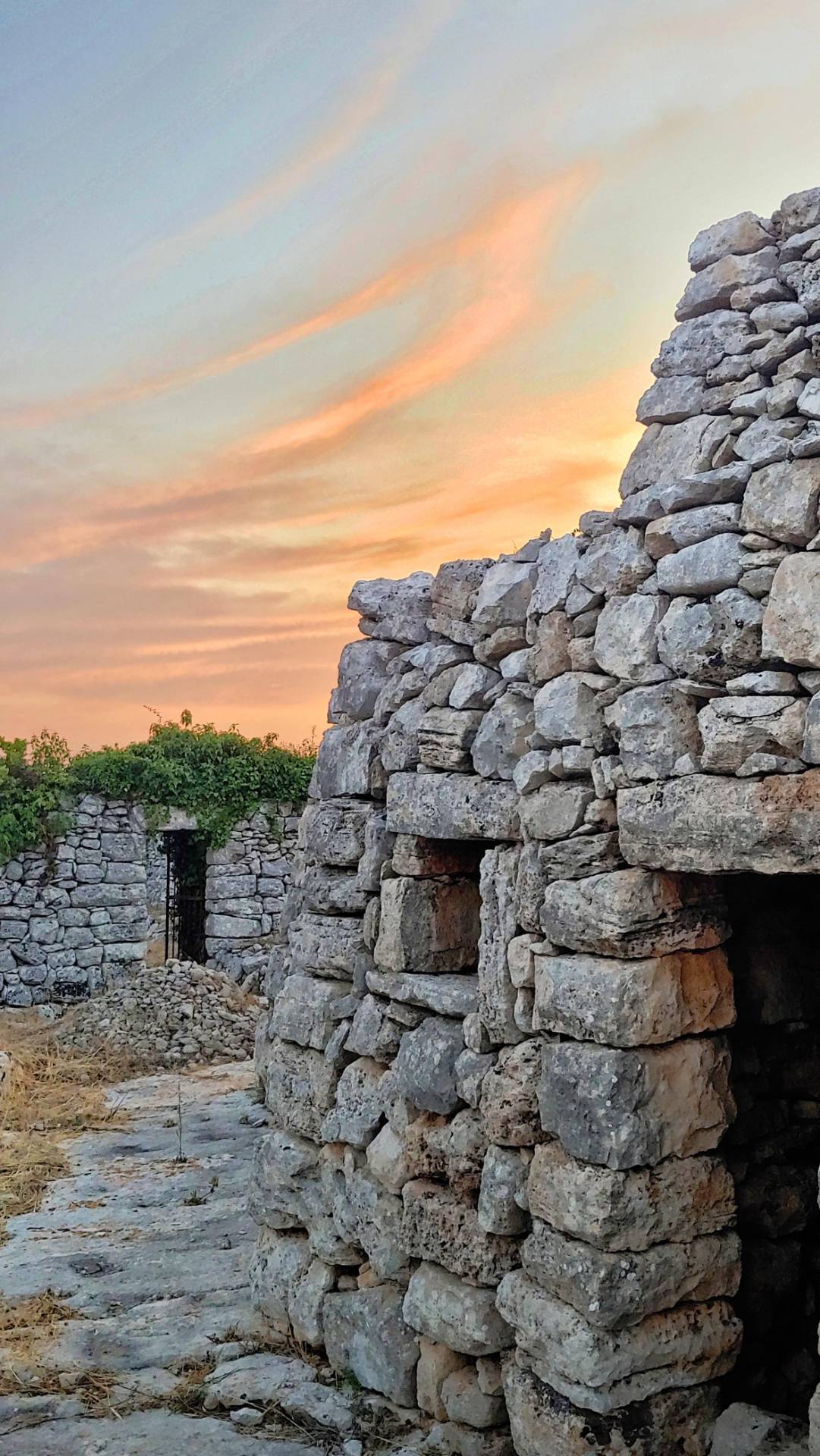 Tenuta in Vendita a Morciano di Leuca