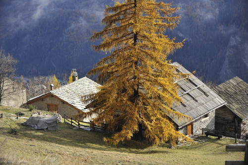 Rustico in vendita a Bardonecchia