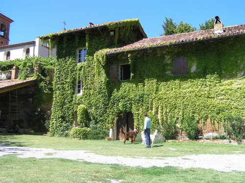 Tenuta in Vendita a Cocconato