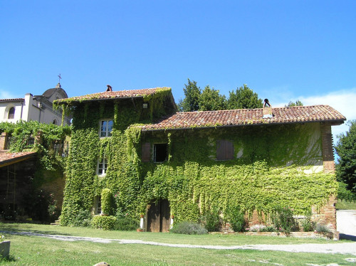 Tenuta in Vendita a Cocconato