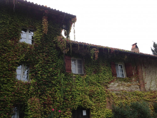 Tenuta in Vendita a Cocconato