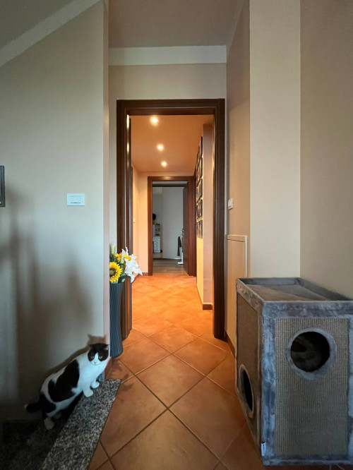 Casa indipendente in Vendita a Pino Torinese