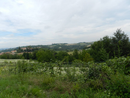 Casa indipendente in Vendita a Vignale Monferrato