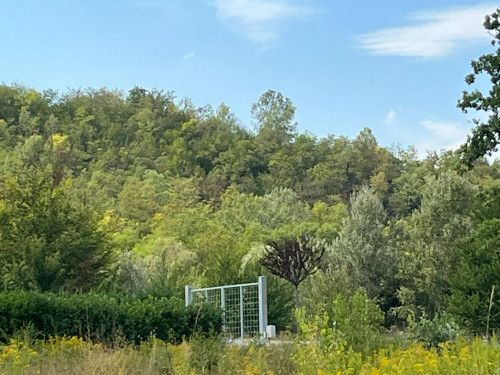 Terreno Agricolo in Vendita a Castell'Alfero