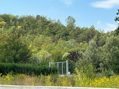 Terreno Agricolo in Vendita a Castell'Alfero