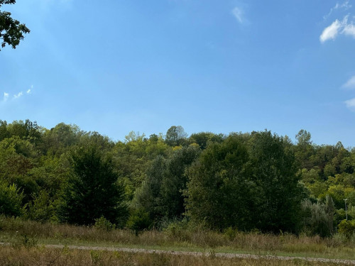 Terreno Agricolo in Vendita a Castell'Alfero