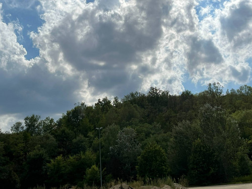 Terreno Agricolo in Vendita a Castell'Alfero