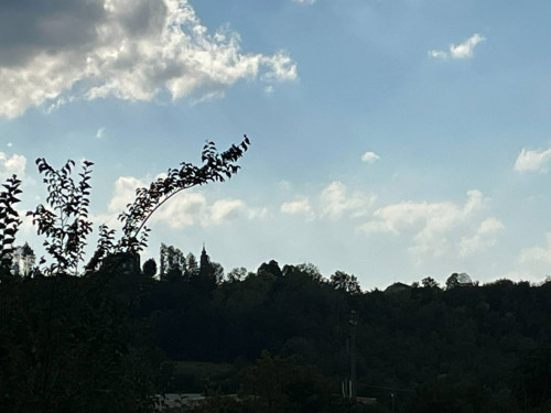 Attività Commerciale - Hotel in Vendita a Castell'Alfero