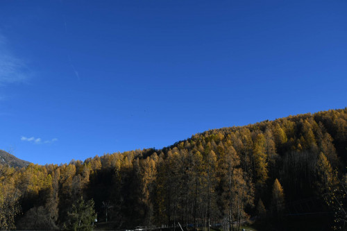 Appartamento in vendita a Bardonecchia