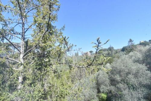 Casa indipendente in Vendita a Chiavari